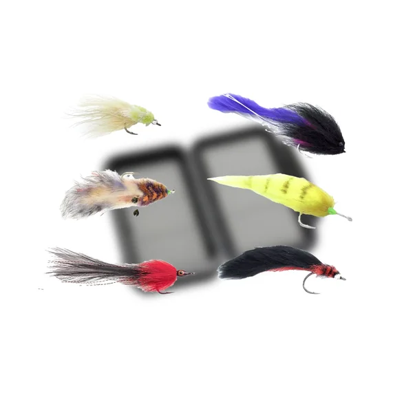 Next Product Image